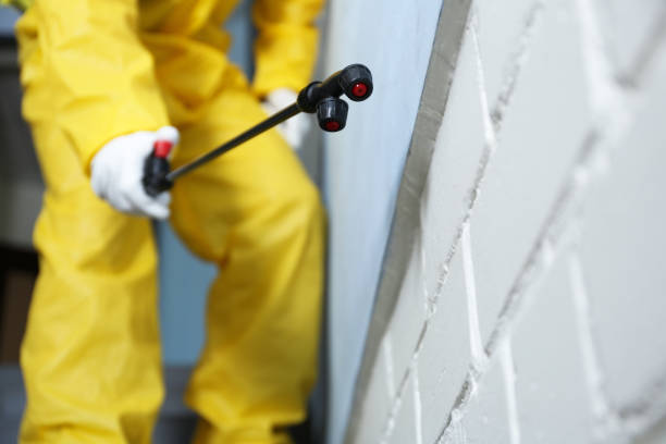 Best Emergency Pest Control  in Petaluma, CA